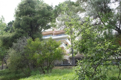 nikiana-achil (2).jpg